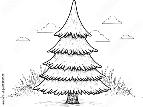 Hand drawn illustration of a balsam fir tree with clouds and gra