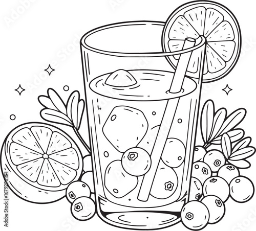 Elegant line art illustration of cranberry juice with orange and