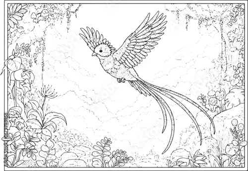 Detailed Illustration of a Resplendent Quetzal Bird in Flight wi