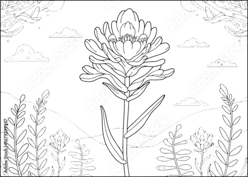 Intricate indian paintbrush flower line art amidst a serene natu