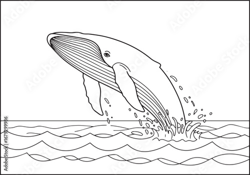 Dynamic line art illustration of a majestic whale breaching the