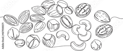 Elegant line art illustration showcasing assorted nuts variety o