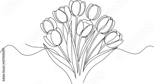 Minimalist continuous line drawing of a tulip flower cluster iso