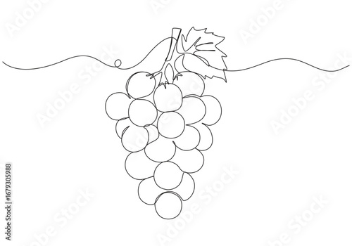 Continuous one line drawing Grapes