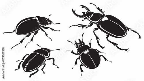 set of beetle