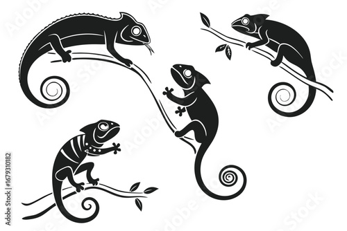 vector illustration of a biker