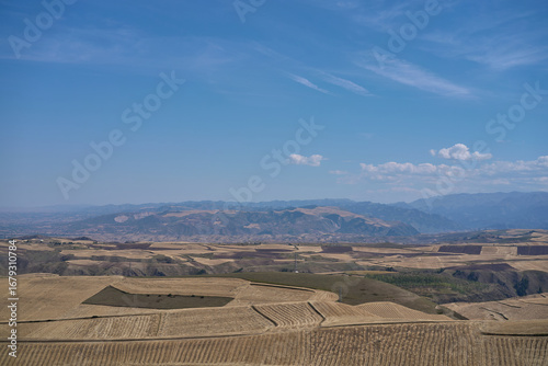 Obraz na plátně Expansive Rural Landscape Under a Vast Blue Sky with Wispy Clouds