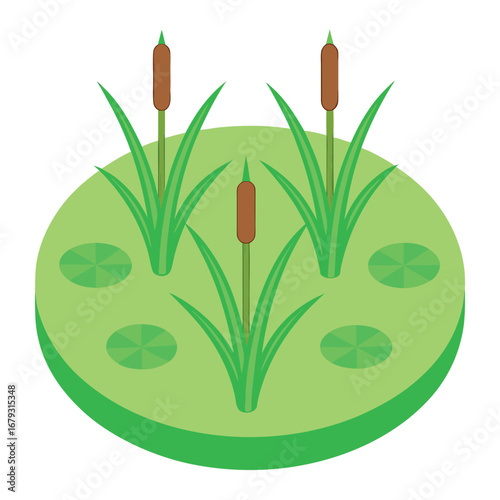 Cattails and lily pads in a green pond isometric illustration reeds bulrushes