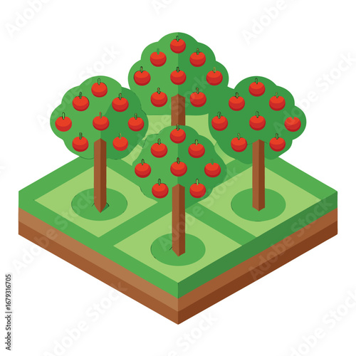 Isometric apple orchard with four fruit trees vector illustration