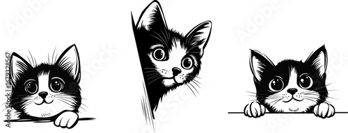 kittens peeking out, portrait cat silhouettes, vector