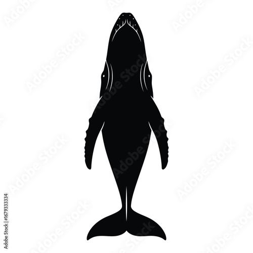 Vector art of humpback whale silhouette