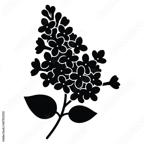 Elegant Black and White Lilac Flower Illustration for Graphic Design and Creative Projects a Timeless Floral Element
