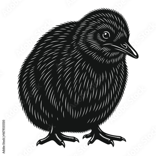 Vector art of kiwi bird chick