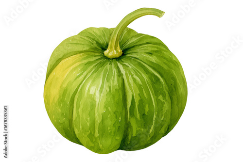 watercolor green pumpkin isolated on white