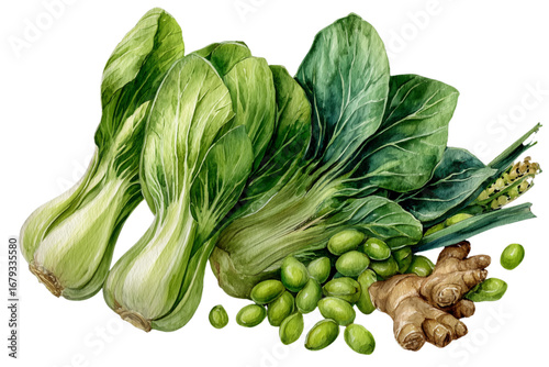 watercolor fresh vegetables on white background
