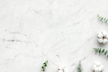 Flowers border with green eucalyptus branches and dry cotton flowers on white stone background top view space for text