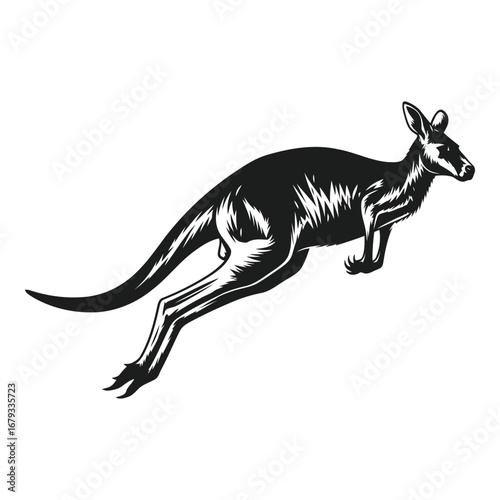 Vector art of jumping kangaroo