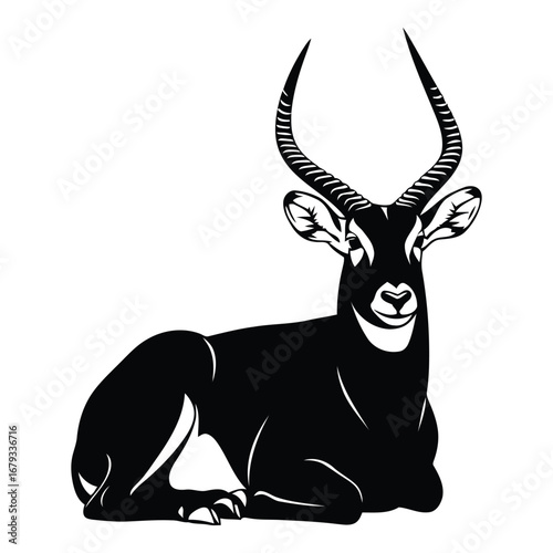 Vector art of kudu antelope lying down