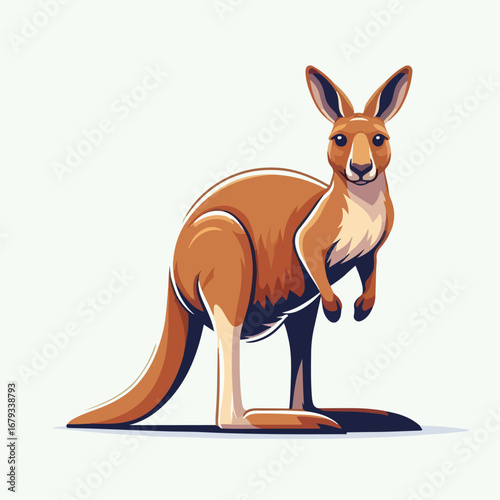 illustration vector of kangaroo