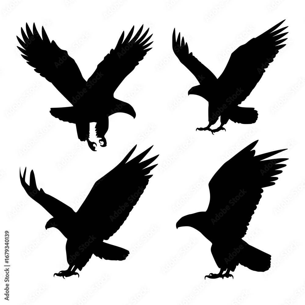 Fototapeta premium An aerial ballet of eagles, each poised mid-flight, silhouetted against the vast canvas, capturing the freedom and majesty of these birds. vector illustration