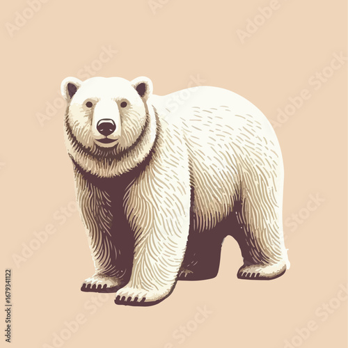 polar bear illustration vector