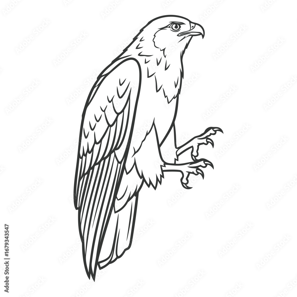 Fototapeta premium Vector art of eagle perched