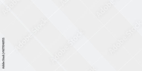 Abstract Geometric modern white and gray color. Layout modern