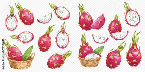 A collection of watercolor illustrations of whole and sliced pink dragon fruit, some displayed in woven baskets.