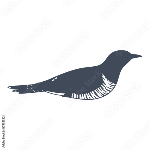Vector art of cuckoo bird