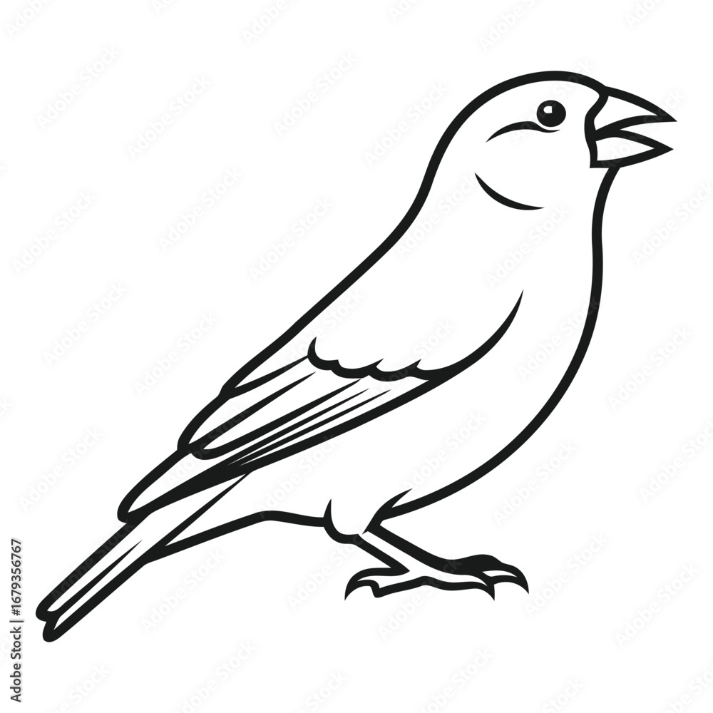 Obraz premium Vector art of line art of a bird