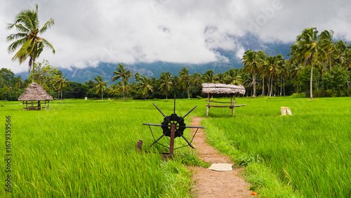 Beautiful view of lush green paddy fields with traditional thatched farmer huts and a wooden water wheel at Kollengode village, Kerala, India. Scenic countryside misty mountains in the background.