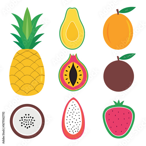 Vibrant tropical fruit illustrations arranged together isolated on white background