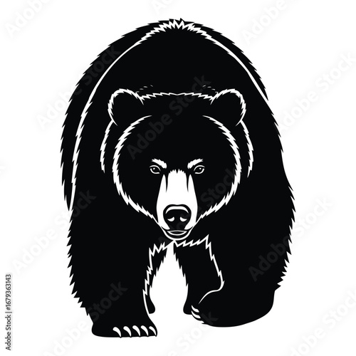 Vector art of black bear walking towards the viewer