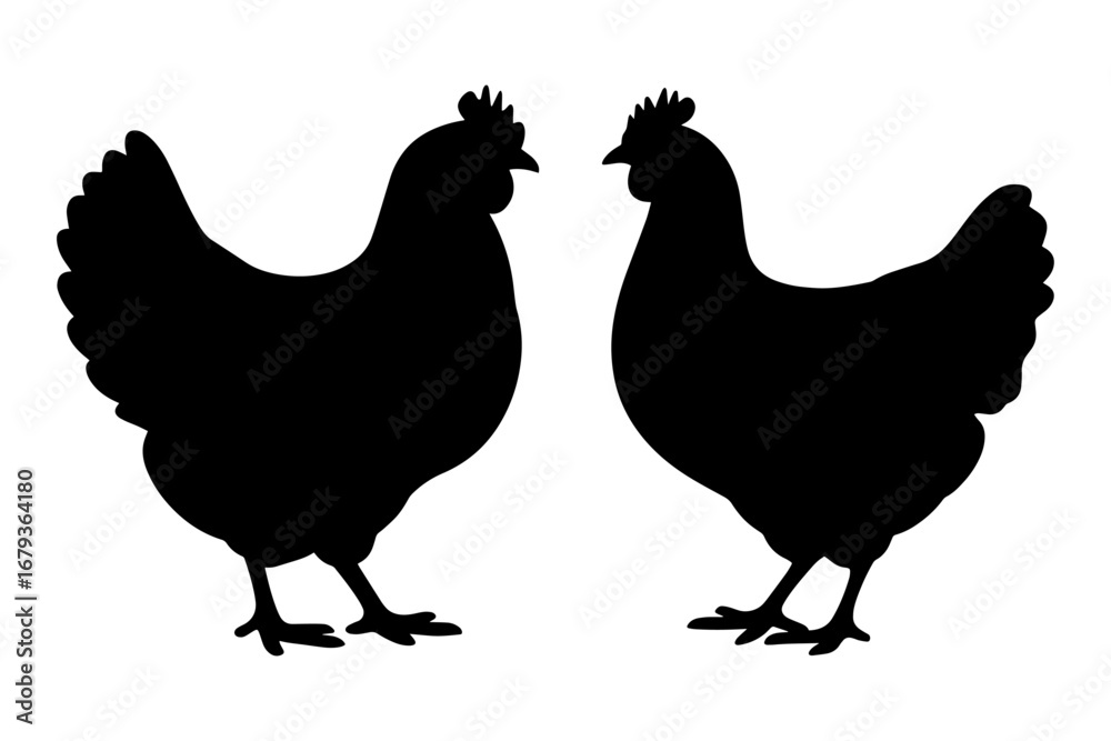 Fototapeta premium Silhouette of chicken farm animal