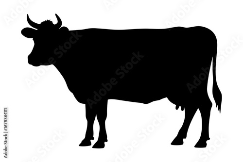 Silhouette of cow domestic animal