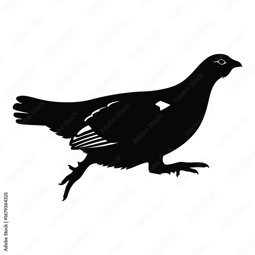 Fototapeta premium Vector art of silhouette of a grouse bird