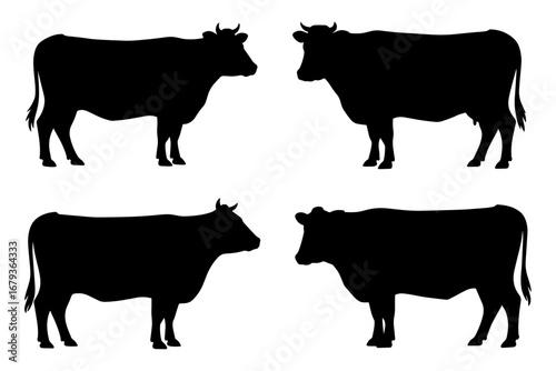 Silhouette of cow domestic animal