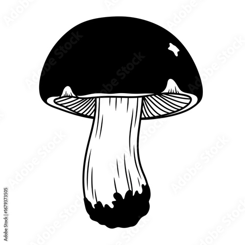 Mushroom silhouette isolated on white background