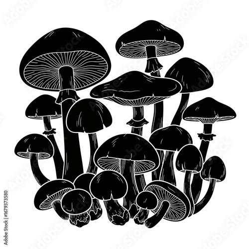Mushroom cluster silhouette isolated on white background