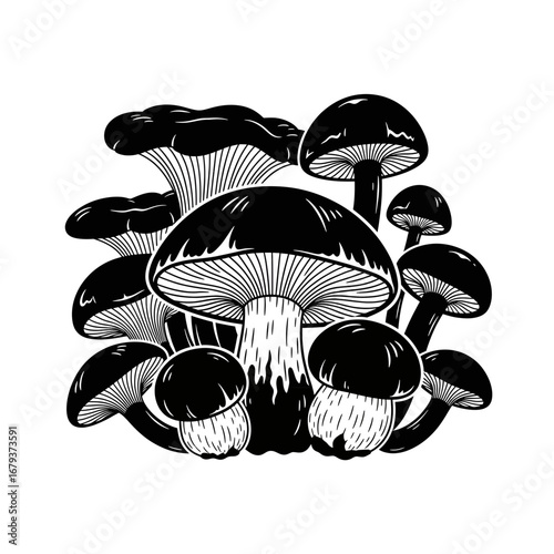 Mushroom cluster silhouette isolated on white background