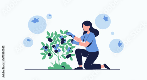Woman Collecting Blueberries From Bush Illustration Representing Healthy Food Harvest