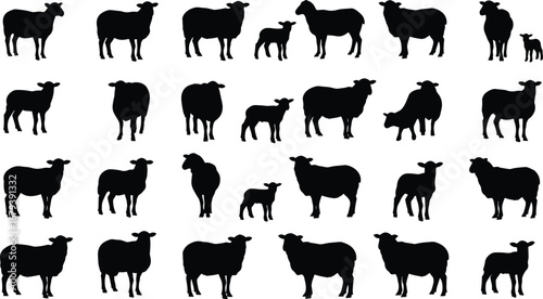 Vector set of sheep and lamb silhouettes, farm animal illustration collection, livestock graphic design for agriculture, countryside, rural nature, and farming projects