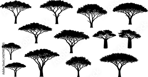 Savana tree silhouette illustration black vector
