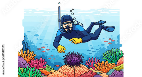 Person Scuba Diving Amongst Beautiful Underwater Reefs And Colorful Life Forms