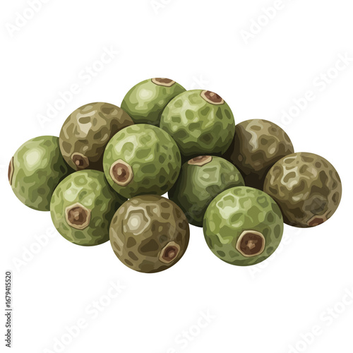 Sansho Pepper Spice Japanese Cuisine Food Vector