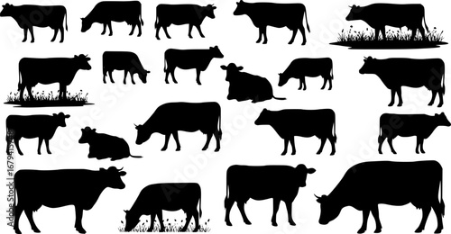 set of cow vector silhouettes, set of different style cow, Dairy farm cow, Cow Grazing On Meadow, vector silhouettes
