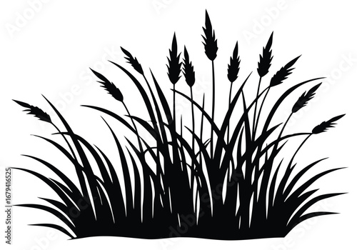 Serene coastal grass silhouette with ocean horizon