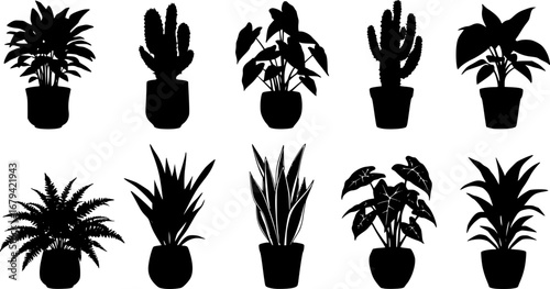 Houseplant Silhouettes Vector Set, Indoor Plants in Pots Isolated on White Background
