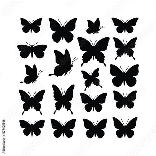 Collection of Black Butterfly Silhouettes on White Background insect