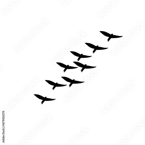 Flying birds flock vector silhouettes, geese autumn triangle formation, monochrome illustration postcard greeting card, isolated white background design.